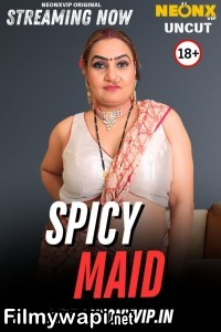 Spicy Maid (2025) Neonx Hindi Short Film poster