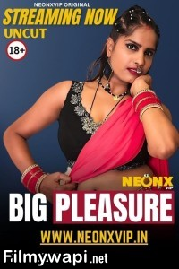 Big Pleasure (2025) Neonx Hindi Short Film poster