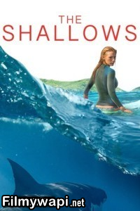 The Shallows (2016) Hollywood Hindi Dubbed poster
