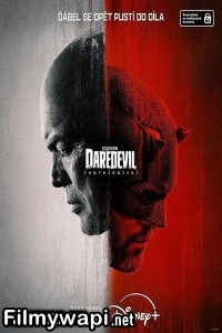 Daredevil Born Again (2025) Hindi Web Series