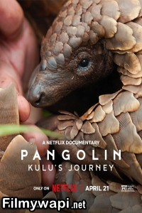 Pangolin Kulus Journey (2025) Hollywood Hindi Dubbed poster
