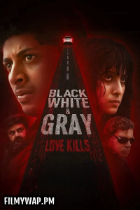 Black White And Gray Love Kills (2025) Hindi Web Series