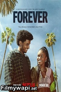 Forever (2025) Hindi Web Series