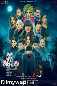 Haan Main Pagal Haan (2025) Punjabi Movie poster