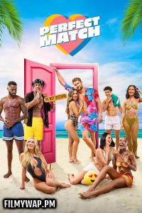 Perfect Match (2025) Season 3 Hindi Web Series
