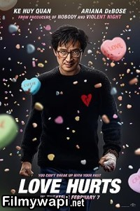 Love Hurts (2025) Hollywood Hindi Dubbed poster