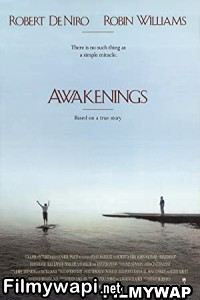Awakenings (1990) Hindi Dubbed poster